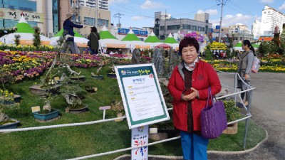 2018년마산 국화축제