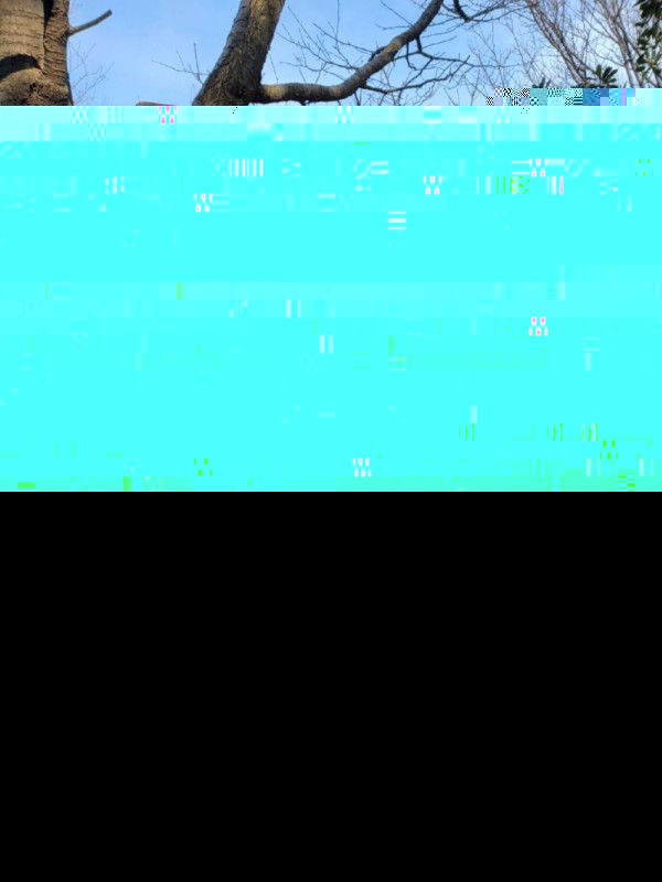 1676532426731.jpg