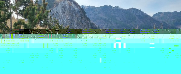 f63bbdbb41d0fa224a2d13d9f99e4e0a_1728442859_9298.jpg
