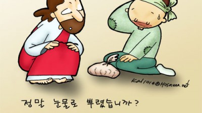 닭묵