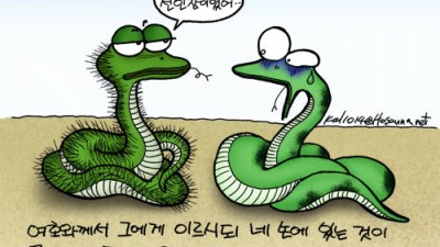 닭묵