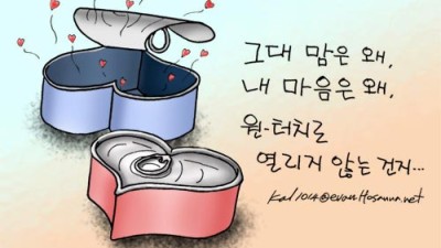 닭묵